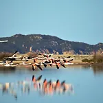 Ferdinanda Costa Rei, Sardegna *