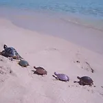 Ferdinanda Costa Rei, Sardegna Semesterbostad Costa Rei