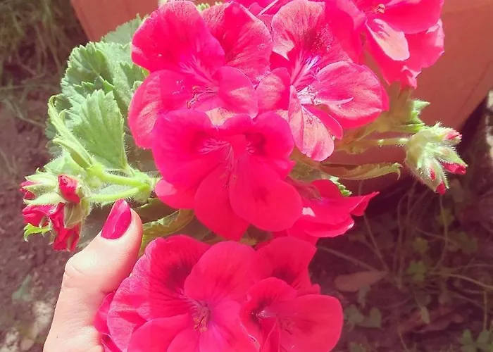 Ferdinanda Costa Rei, Sardegna Costa Rei