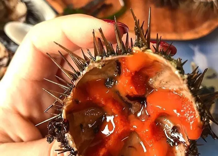 Ferdinanda Costa Rei, Sardegna Dom wakacyjny *